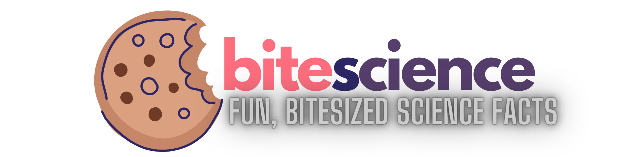 bitesize (1)