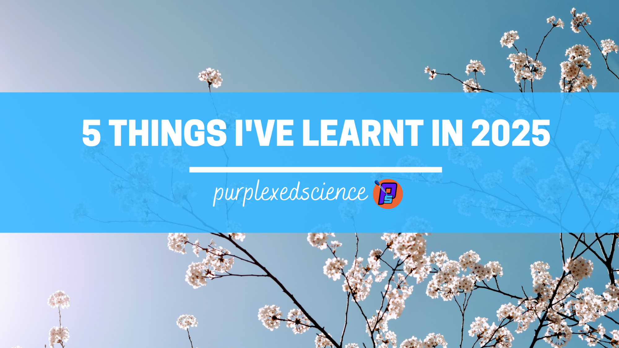 Be kind to yourself: Life Lessons From 2025